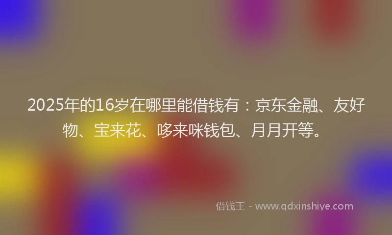 2025年的16岁在哪里能借钱有：京东金融、友好物、宝来花、哆来咪钱包、月月开等。
