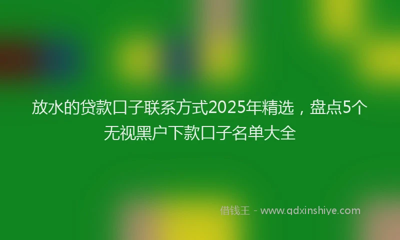 放水的贷款口子联系方式2025年精选，盘点5个无视黑户下款口子名单大全