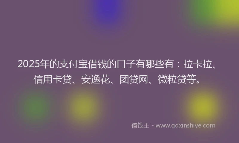 2025年的支付宝借钱的口子有哪些有：拉卡拉、信用卡贷、安逸花、团贷网、微粒贷等。