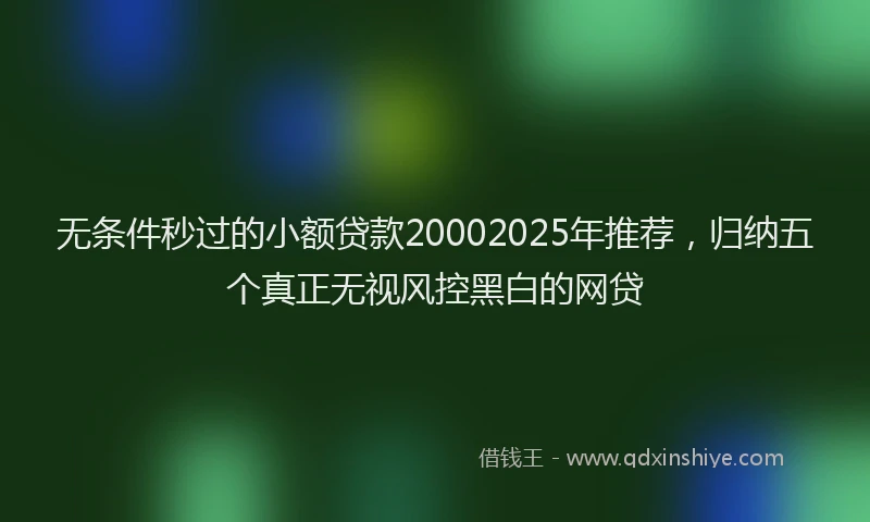 无条件秒过的小额贷款20002025年推荐，归纳五个真正无视风控黑白的网贷