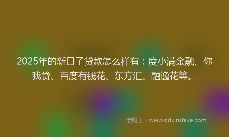 2025年的新口子贷款怎么样有:度小满金融、你我贷、百度有钱花、东方汇、融逸花等。