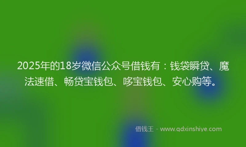 2025年的18岁微信公众号借钱有：钱袋瞬贷、魔法速借、畅贷宝钱包、哆宝钱包、安心购等。