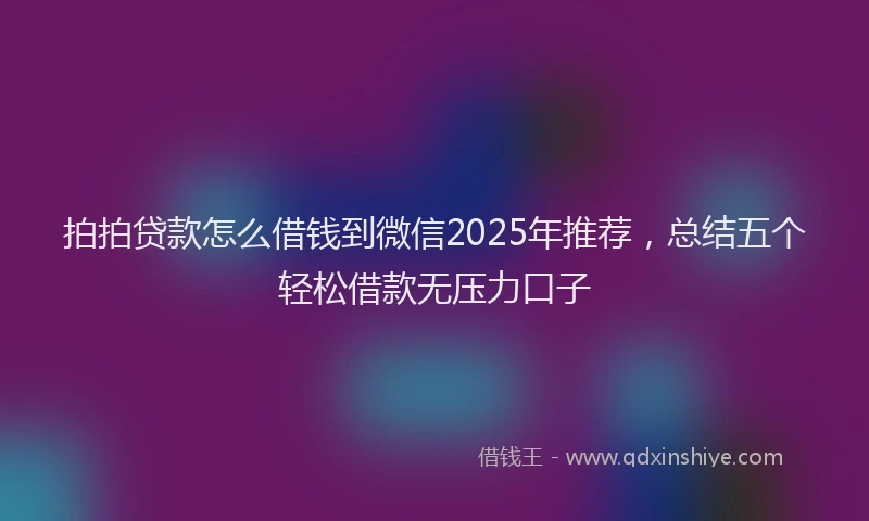 拍拍贷款怎么借钱到微信2025年推荐，总结五个轻松借款无压力口子
