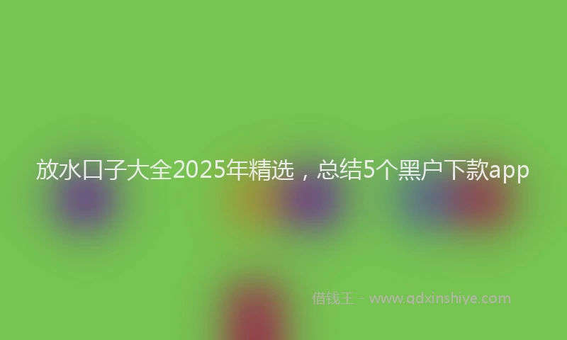 放水口子大全2025年精选，总结5个黑户下款app