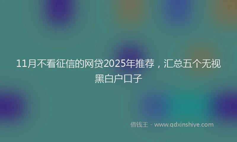 11月不看征信的网贷2025年推荐，汇总五个无视黑白户口子