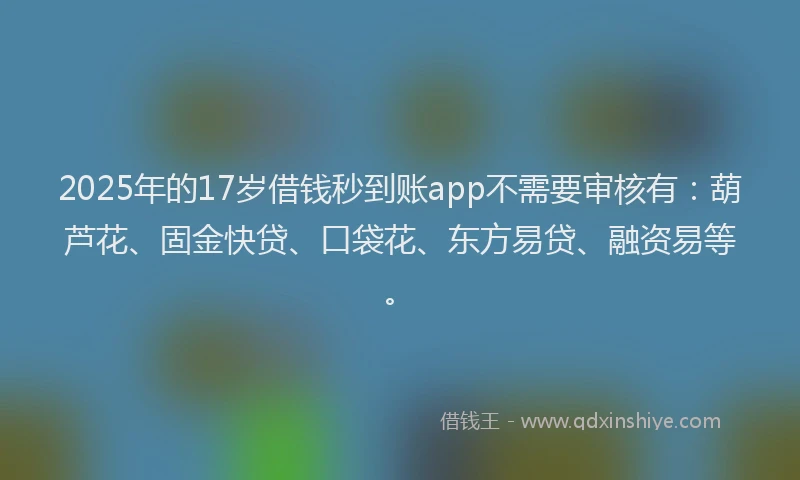 2025年的17岁借钱秒到账app不需要审核有：葫芦花、固金快贷、口袋花、东方易贷、融资易等。