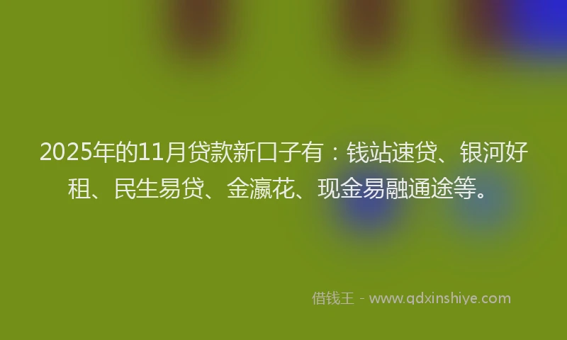 2025年的11月贷款新口子有：钱站速贷、银河好租、民生易贷、金瀛花、现金易融通途等。
