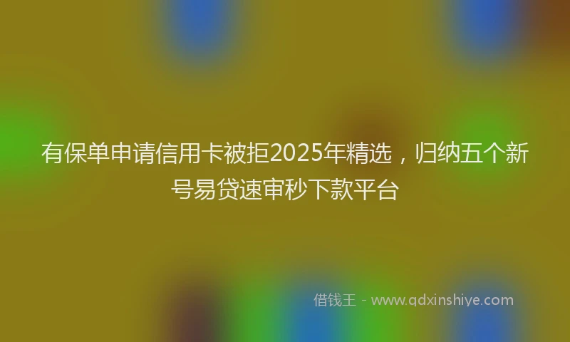 有保单申请信用卡被拒2025年精选，归纳五个新号易贷速审秒下款平台