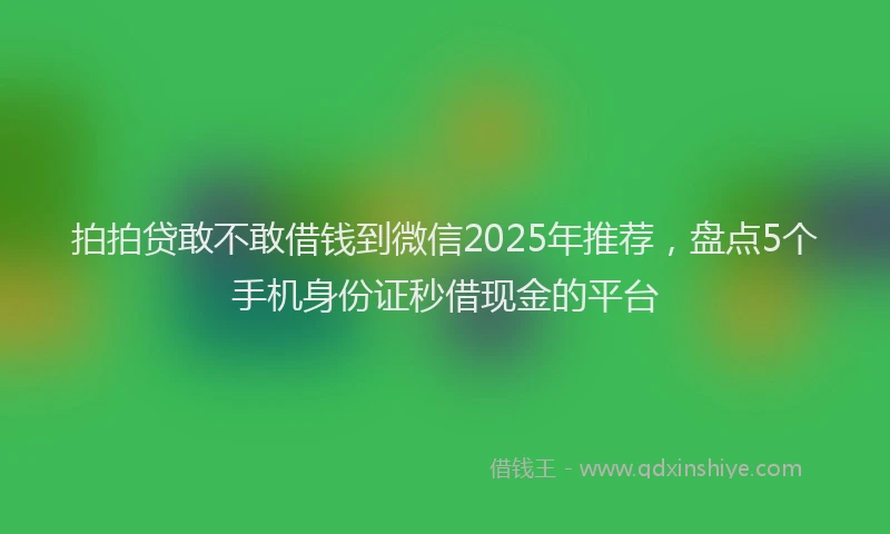 拍拍贷敢不敢借钱到微信2025年推荐，盘点5个手机身份证秒借现金的平台