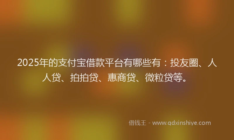 2025年的支付宝借款平台有哪些有：投友圈、人人贷、拍拍贷、惠商贷、微粒贷等。
