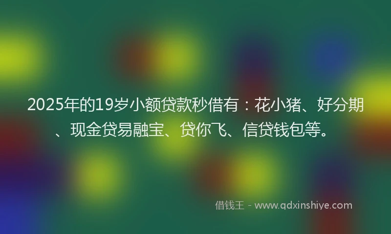 2025年的19岁小额贷款秒借有：花小猪、好分期、现金贷易融宝、贷你飞、信贷钱包等。