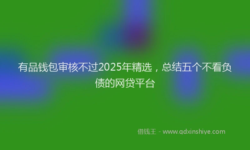 有品钱包审核不过2025年精选，总结五个不看负债的网贷平台