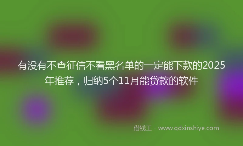 有没有不查征信不看黑名单的一定能下款的2025年推荐，归纳5个11月能贷款的软件
