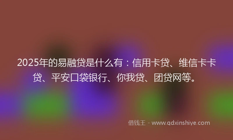 2025年的易融贷是什么有：信用卡贷、维信卡卡贷、平安口袋银行、你我贷、团贷网等。