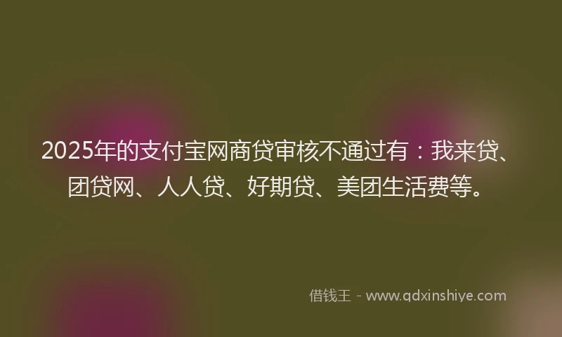 2025年的支付宝网商贷审核不通过有：我来贷、团贷网、人人贷、好期贷、美团生活费等。