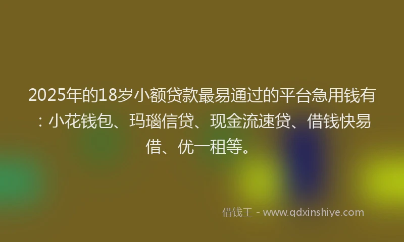 2025年的18岁小额贷款最易通过的平台急用钱有：小花钱包、玛瑙信贷、现金流速贷、借钱快易借、优一租等。