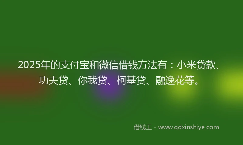 2025年的支付宝和微信借钱方法有：小米贷款、功夫贷、你我贷、柯基贷、融逸花等。