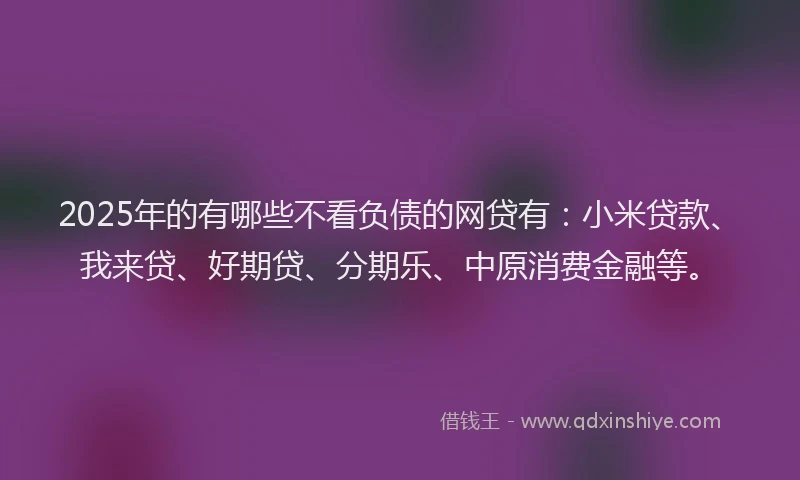 2025年的有哪些不看负债的网贷有：小米贷款、我来贷、好期贷、分期乐、中原消费金融等。