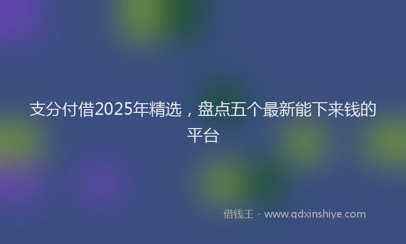 支分付借2025年精选，盘点五个最新能下来钱的平台