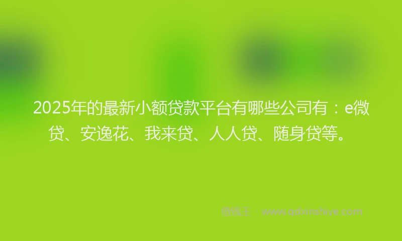 2025年的最新小额贷款平台有哪些公司有：e微贷、安逸花、我来贷、人人贷、随身贷等。