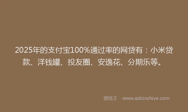 2025年的支付宝100%通过率的网贷有：小米贷款、洋钱罐、投友圈、安逸花、分期乐等。