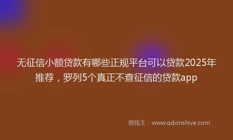 无征信小额贷款有哪些正规平台可以贷款2025年推荐，罗列5个真正不查征信的贷款app