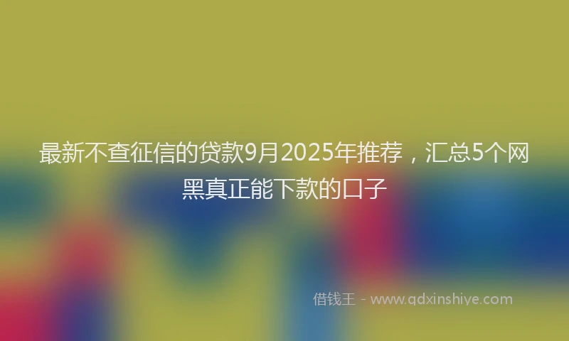 最新不查征信的贷款9月2025年推荐，汇总5个网黑真正能下款的口子
