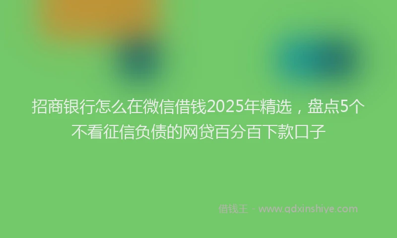 招商银行怎么在微信借钱2025年精选，盘点5个不看征信负债的网贷百分百下款口子
