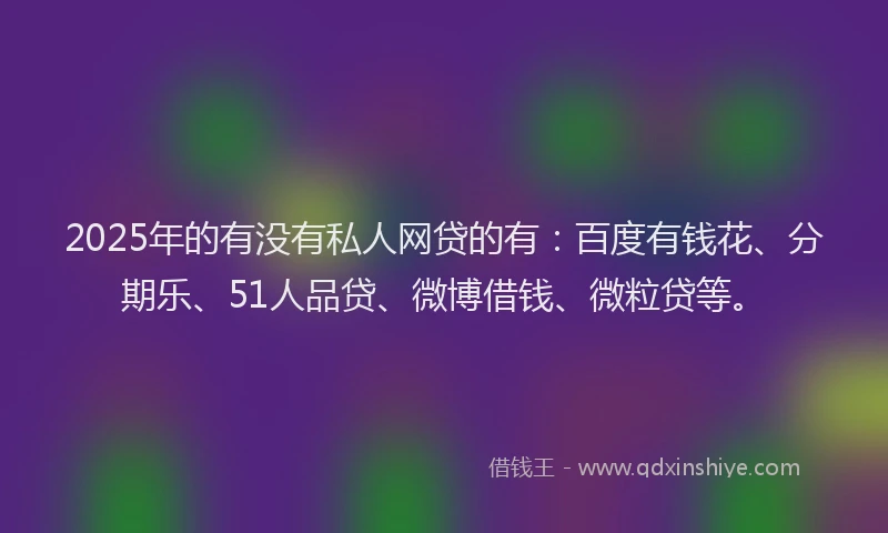 2025年的有没有私人网贷的有：百度有钱花、分期乐、51人品贷、微博借钱、微粒贷等。