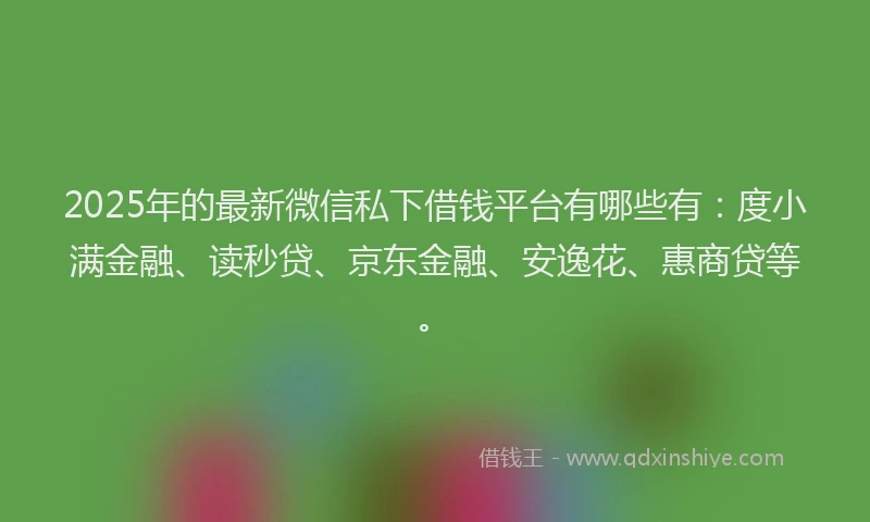 2025年的最新微信私下借钱平台有哪些有：度小满金融、读秒贷、京东金融、安逸花、惠商贷等。