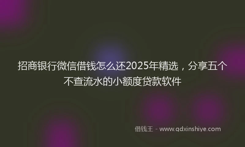 招商银行微信借钱怎么还2025年精选，分享五个不查流水的小额度贷款软件