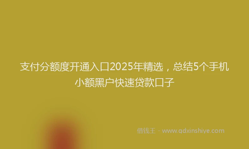 支付分额度开通入口2025年精选，总结5个手机小额黑户快速贷款口子
