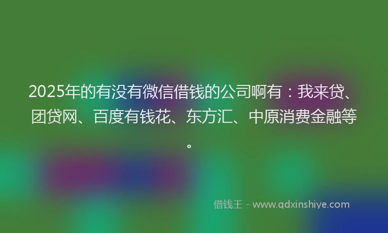 2025年的有没有微信借钱的公司啊有：我来贷、团贷网、百度有钱花、东方汇、中原消费金融等。