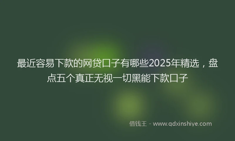 最近容易下款的网贷口子有哪些2025年精选，盘点五个真正无视一切黑能下款口子