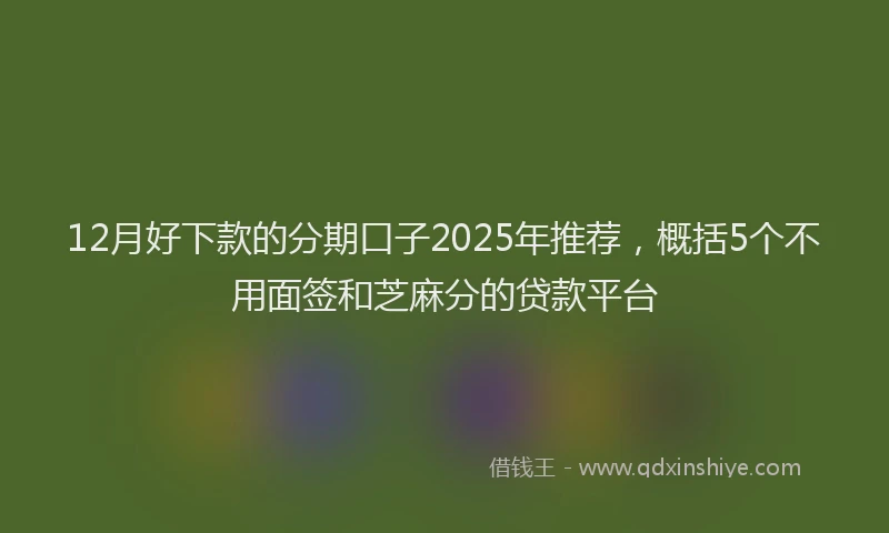 12月好下款的分期口子2025年推荐，概括5个不用面签和芝麻分的贷款平台