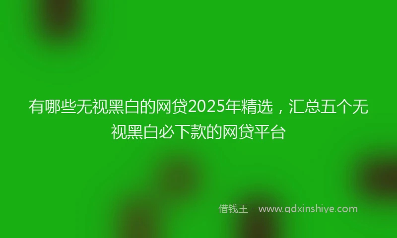 有哪些无视黑白的网贷2025年精选，汇总五个无视黑白必下款的网贷平台