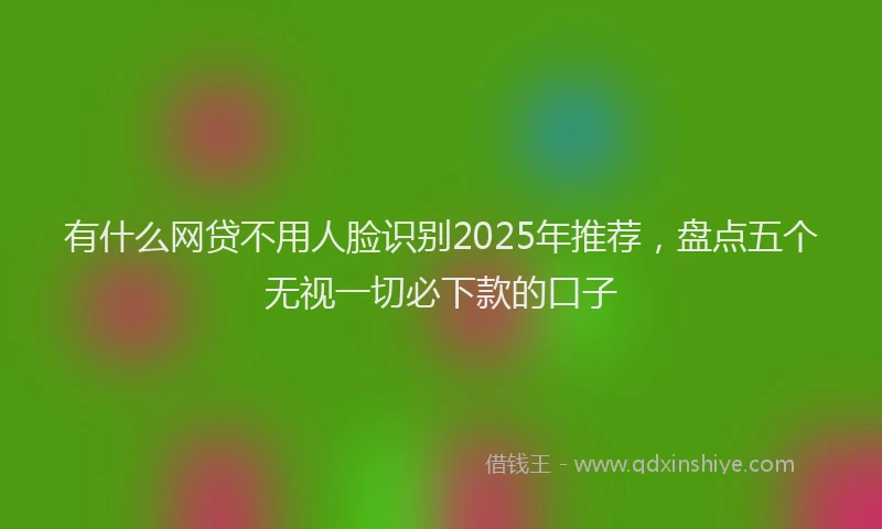 有什么网贷不用人脸识别2025年推荐，盘点五个无视一切必下款的口子