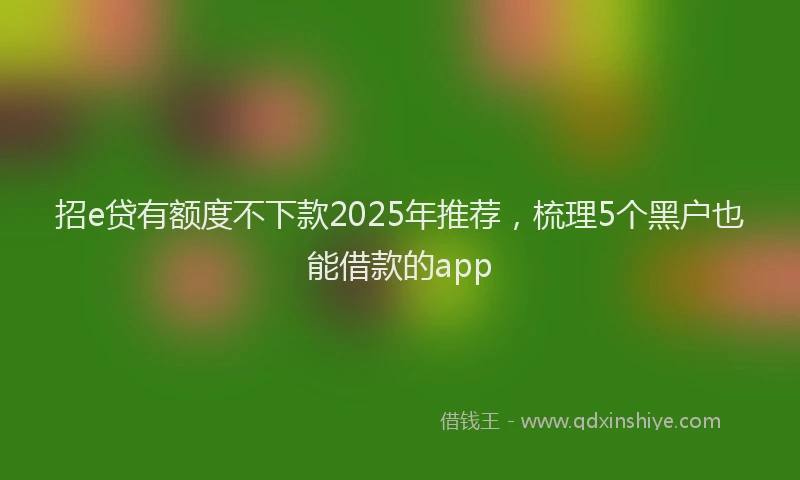 招e贷有额度不下款2025年推荐，梳理5个黑户也能借款的app
