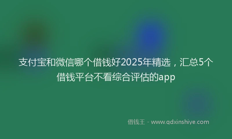 支付宝和微信哪个借钱好2025年精选，汇总5个借钱平台不看综合评估的app