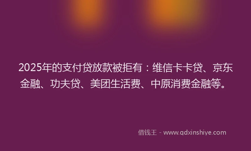 2025年的支付贷放款被拒有：维信卡卡贷、京东金融、功夫贷、美团生活费、中原消费金融等。