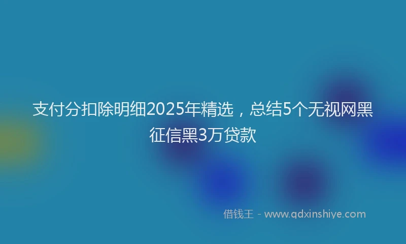 支付分扣除明细2025年精选，总结5个无视网黑征信黑3万贷款