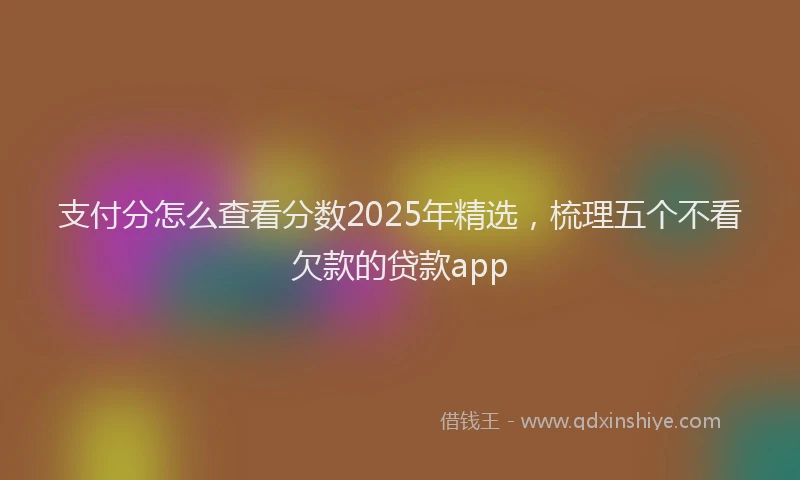 支付分怎么查看分数2025年精选，梳理五个不看欠款的贷款app
