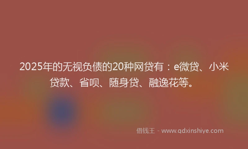 2025年的无视负债的20种网贷有：e微贷、小米贷款、省呗、随身贷、融逸花等。