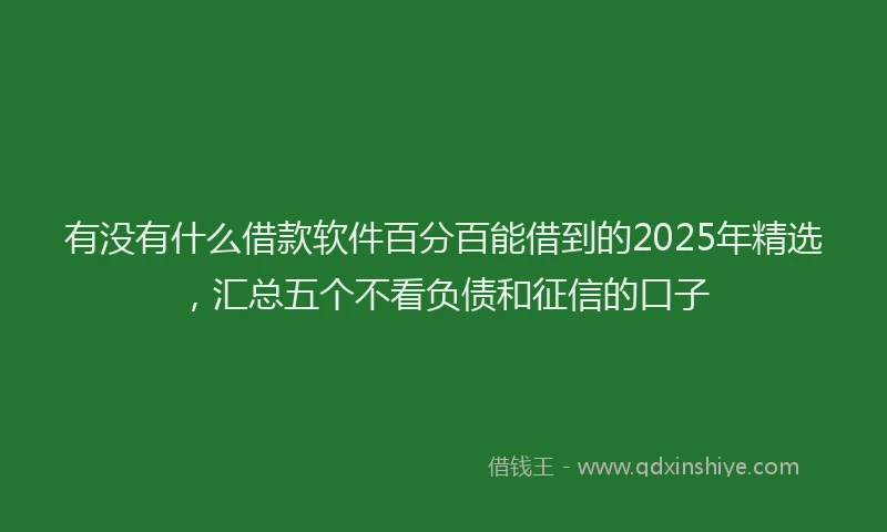 有没有什么借款软件百分百能借到的2025年精选，汇总五个不看负债和征信的口子
