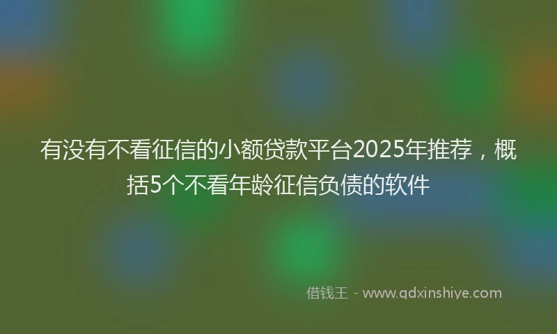 有没有不看征信的小额贷款平台2025年推荐，概括5个不看年龄征信负债的软件