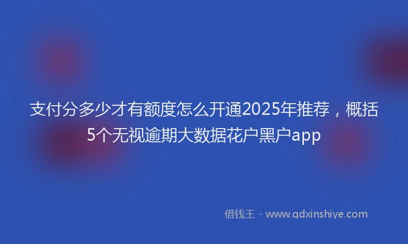 支付分多少才有额度怎么开通2025年推荐，概括5个无视逾期大数据花户黑户app