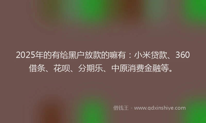 2025年的有给黑户放款的嘛有：小米贷款、360借条、花呗、分期乐、中原消费金融等。