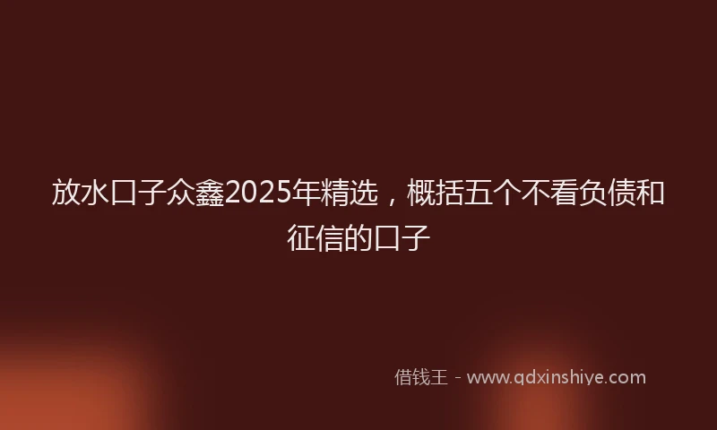 放水口子众鑫2025年精选，概括五个不看负债和征信的口子