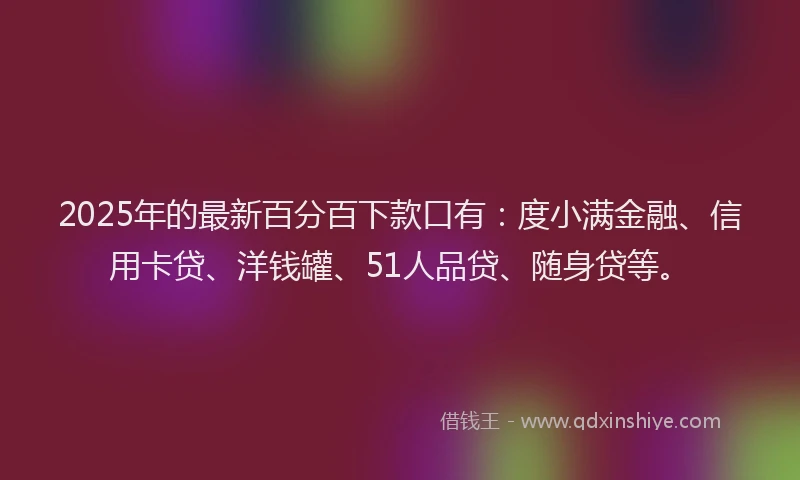 2025年的最新百分百下款口有：度小满金融、信用卡贷、洋钱罐、51人品贷、随身贷等。