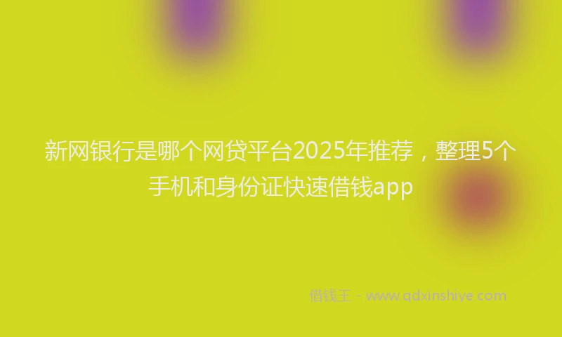 新网银行是哪个网贷平台2025年推荐，整理5个手机和身份证快速借钱app